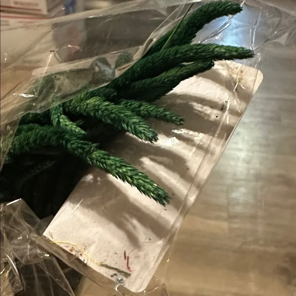 🌼10/$25 +BULK Sale | Bundle 10 items $7-$9 & Save! Otherwise priced as marked!